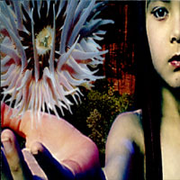 Lifeforms artwork
